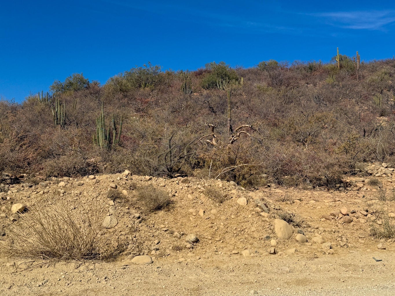 Lot in Nrth of Barilles-Gen, East Cape, photo 2