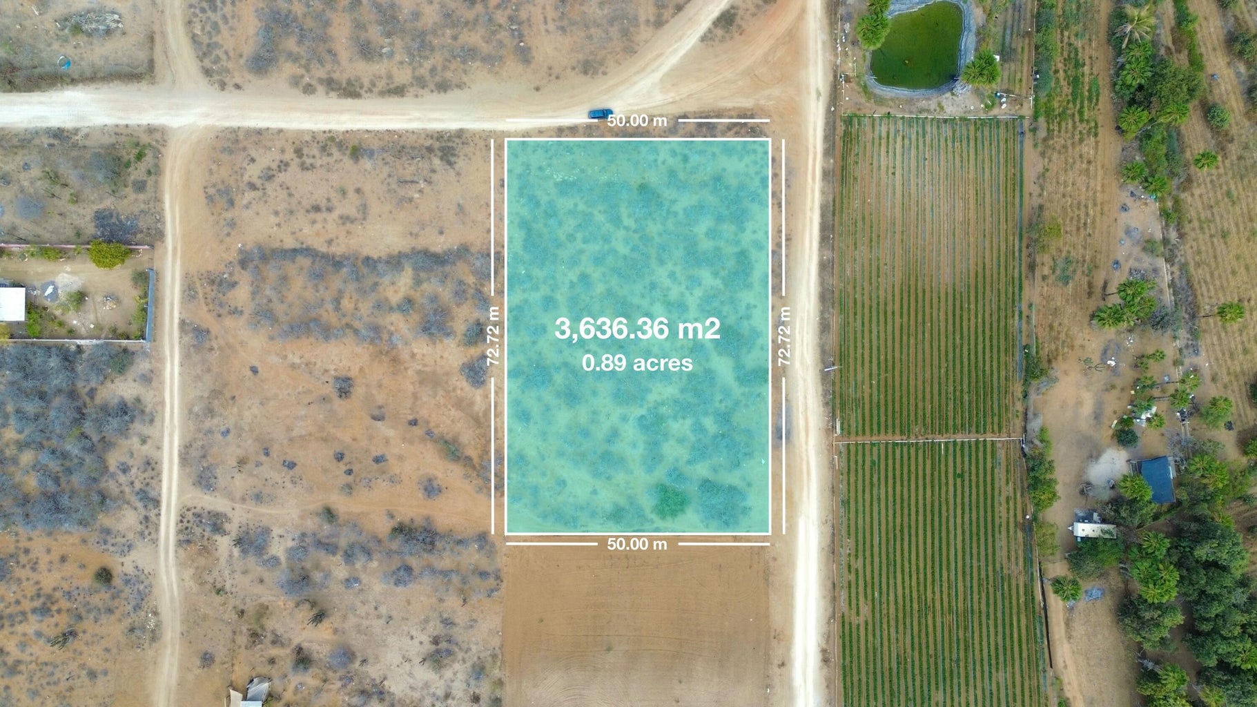 Lot in Todos Santos-General, Pacific, photo 4