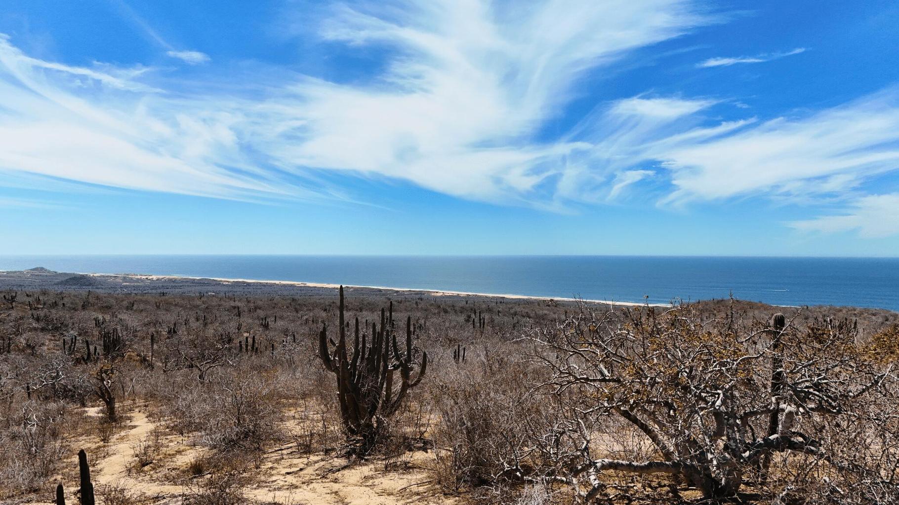 Manzana 27 Lote 14, Rolling Hills, Pacific, photo 3