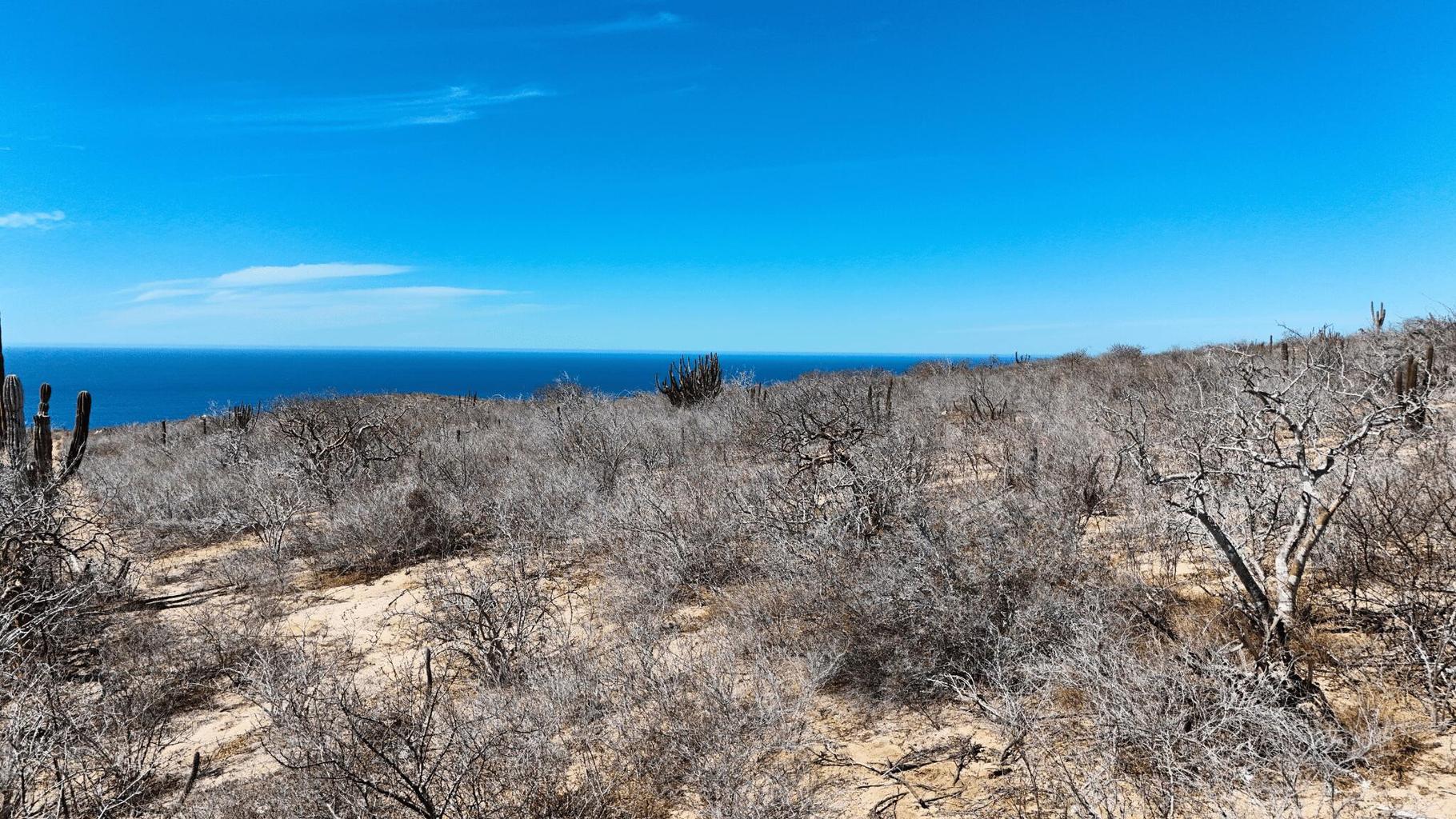 Manzana 27 Lote 14, Rolling Hills, Pacific, photo 4