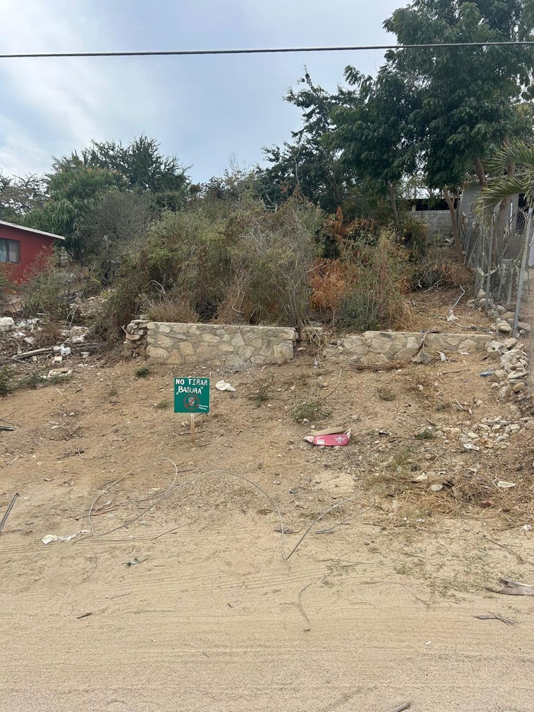 calle Camaron, El Rincon-SJD Marina, San Jose del Cabo, photo 2