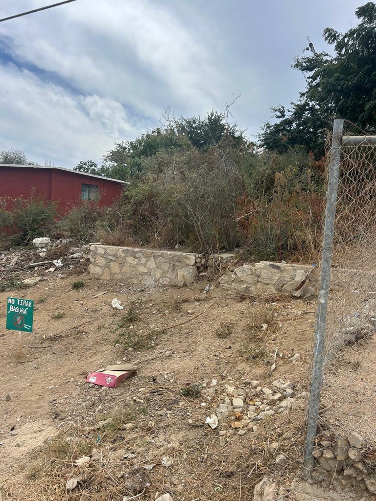calle Camaron, El Rincon-SJD Marina, San Jose del Cabo, photo 5
