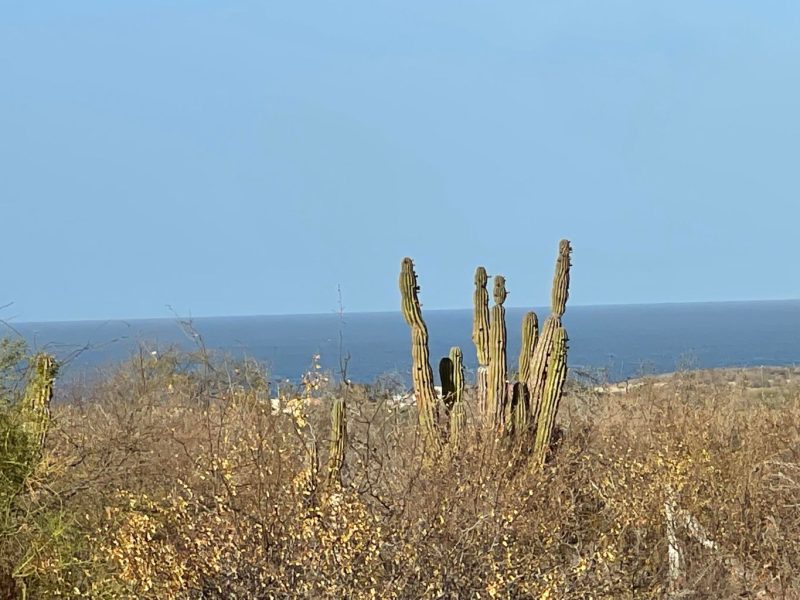 Lot in Baja Martires, East Cape