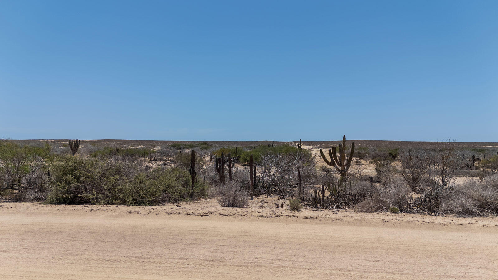 Lot in Agua Blanca, Pacific, photo 3