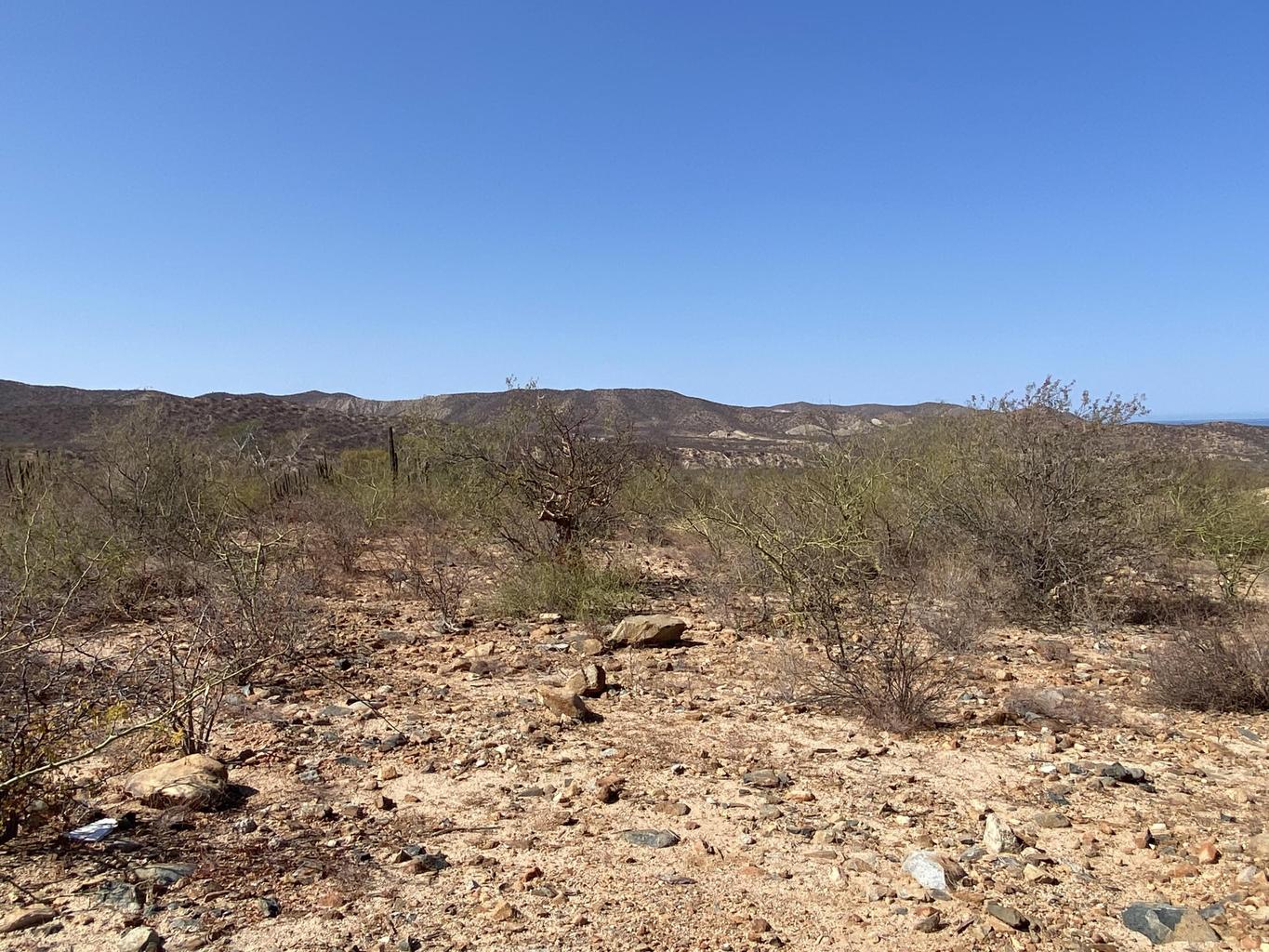 Lot in Nrth of Barilles-Gen, East Cape, photo 2