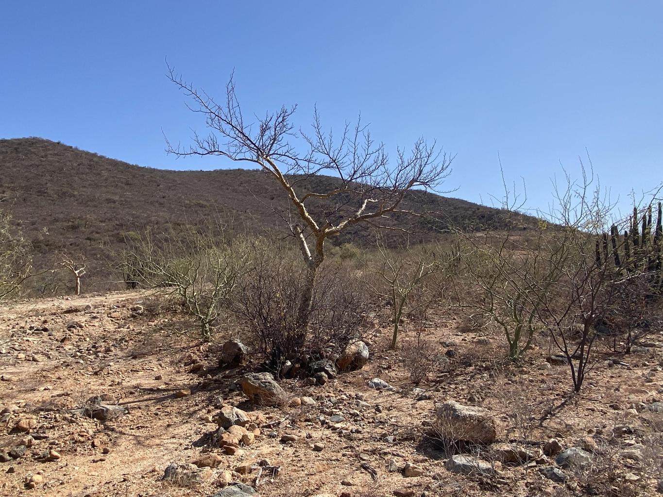 Lot in Nrth of Barilles-Gen, East Cape, photo 5
