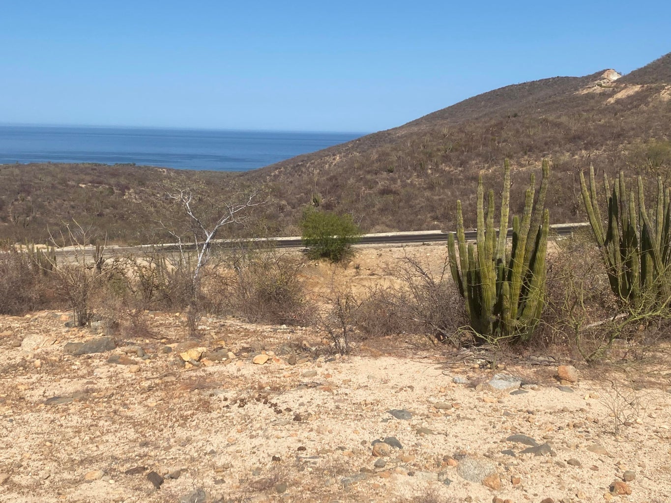Lot in Nrth of Barilles-Gen, East Cape, photo 5