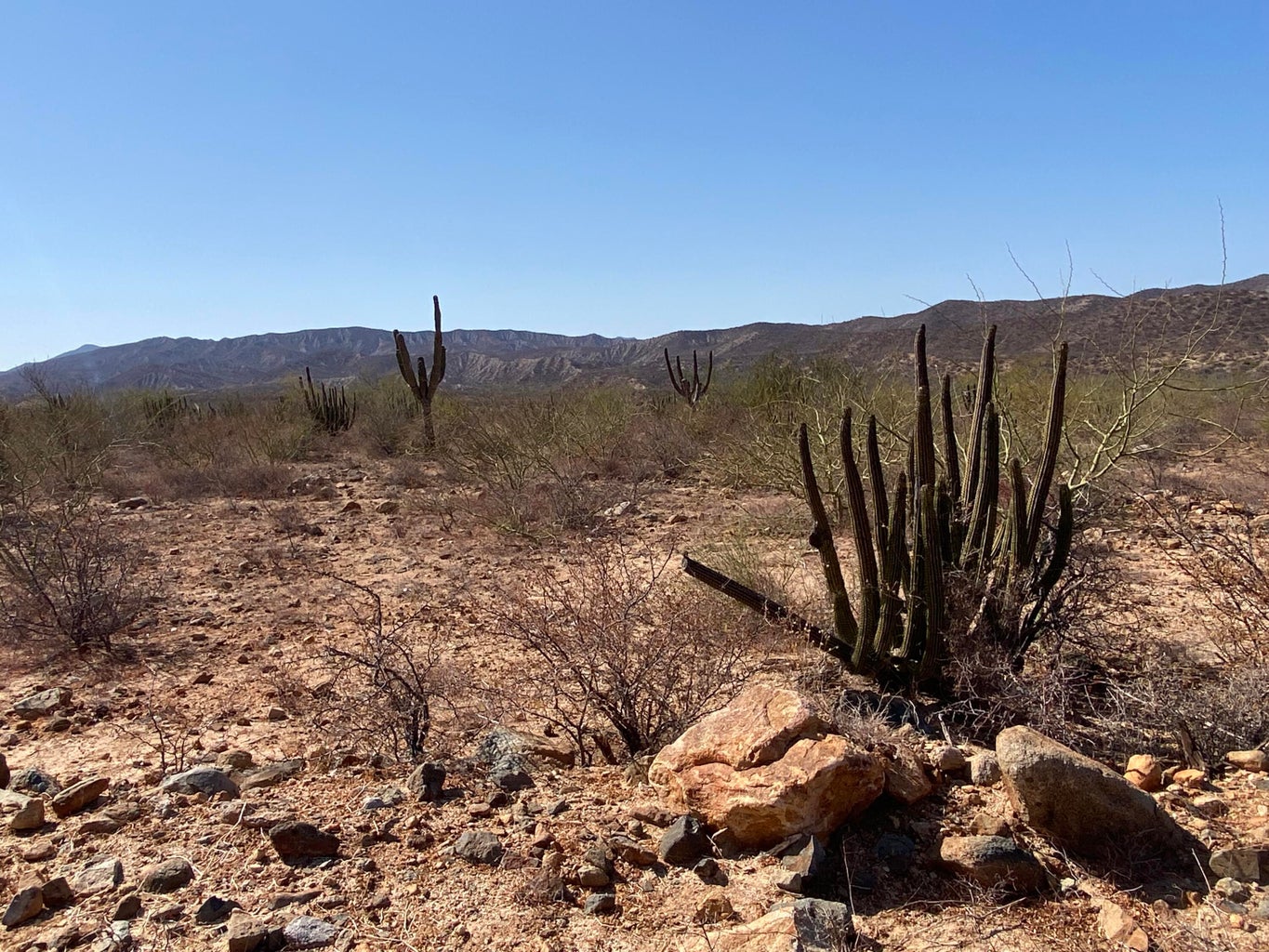Lot in Nrth of Barilles-Gen, East Cape, photo 3