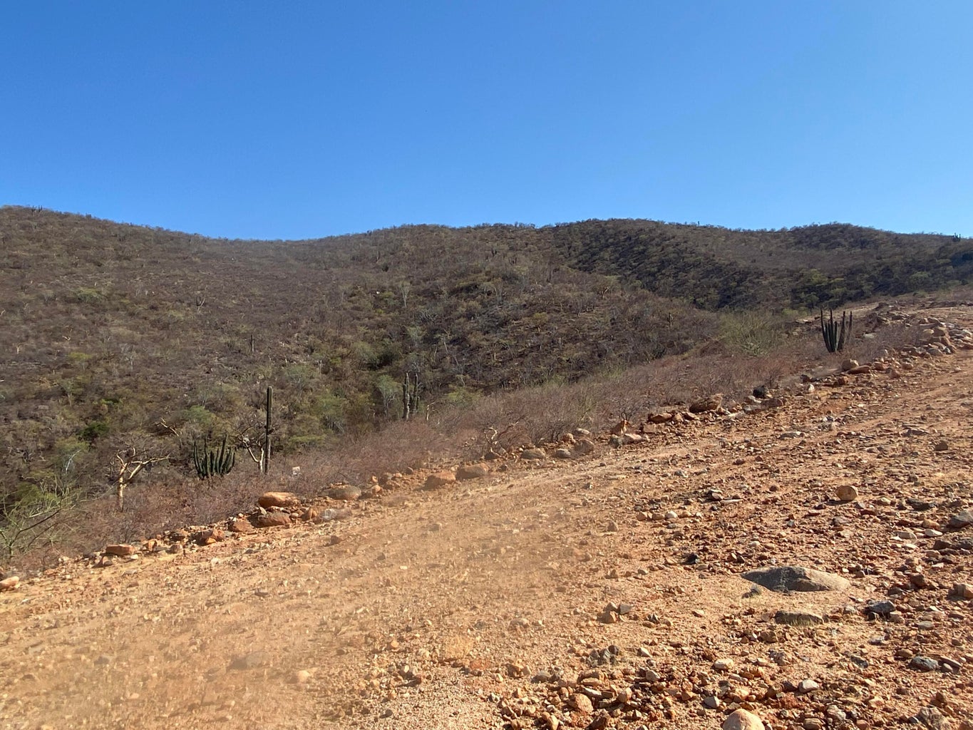 Lot in Nrth of Barilles-Gen, East Cape, photo 2