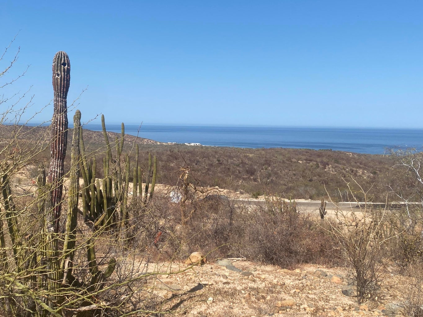Lot in Nrth of Barilles-Gen, East Cape, photo 5