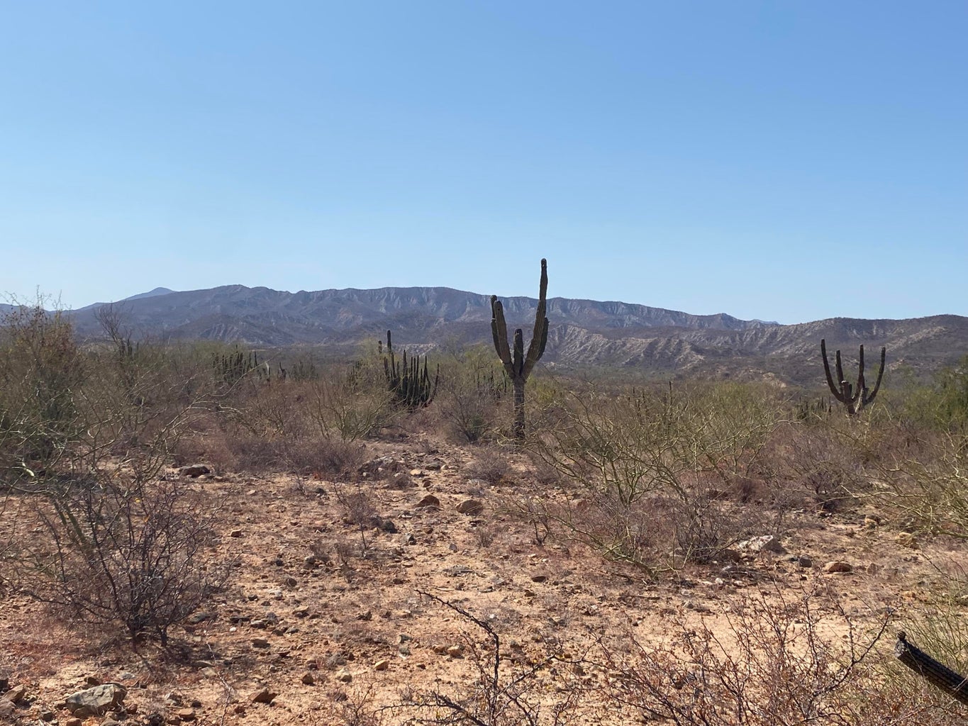 Lot in Nrth of Barilles-Gen, East Cape, photo 5