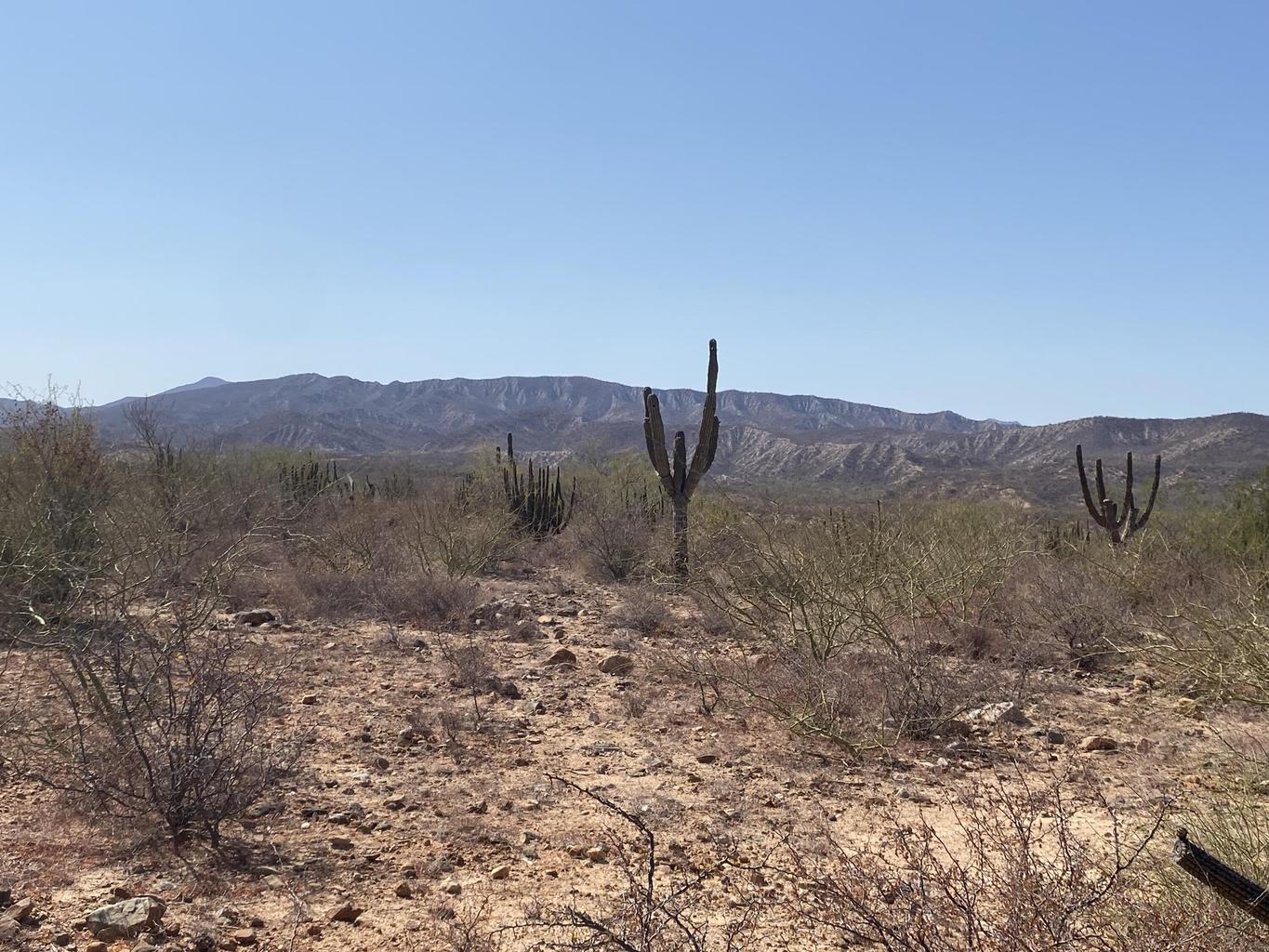 Lot in Nrth of Barilles-Gen, East Cape, photo 3