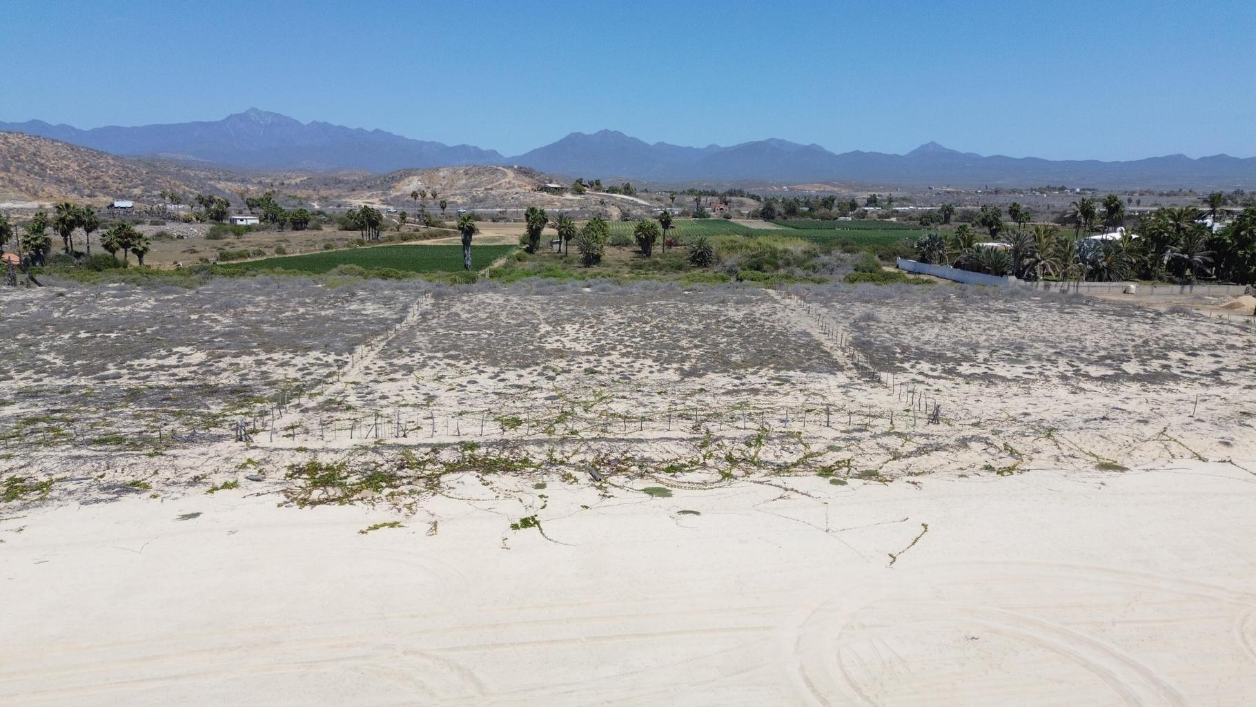 Lot in Elias Calles, Pacific, photo 2