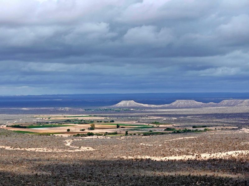 PREDIO EL TEPETATE, Conquista Agraria NCPE, La Paz