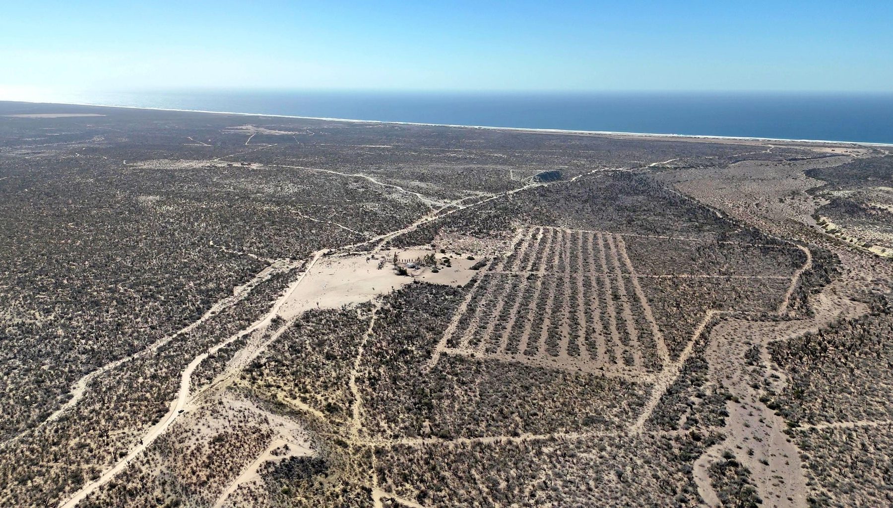 PREDIO EL TEPETATE, Conquista Agraria NCPE, La Paz, photo 4