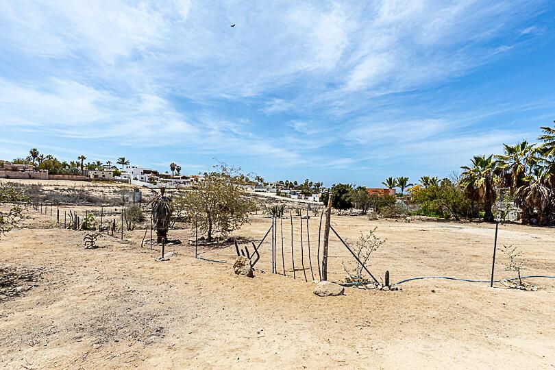 Ocean View Corner, Las Brisas- Todos Santos, Pacific, photo 3