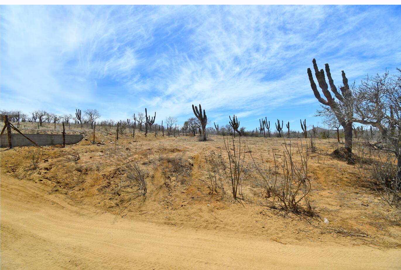 Lot in Pescadero, Pacific, photo 4
