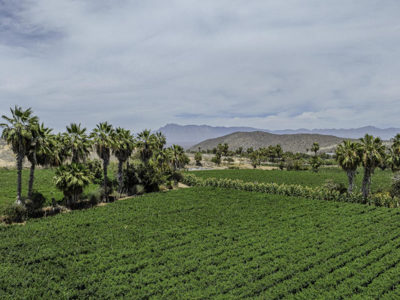 Lot in Todos Santos-General, La Paz