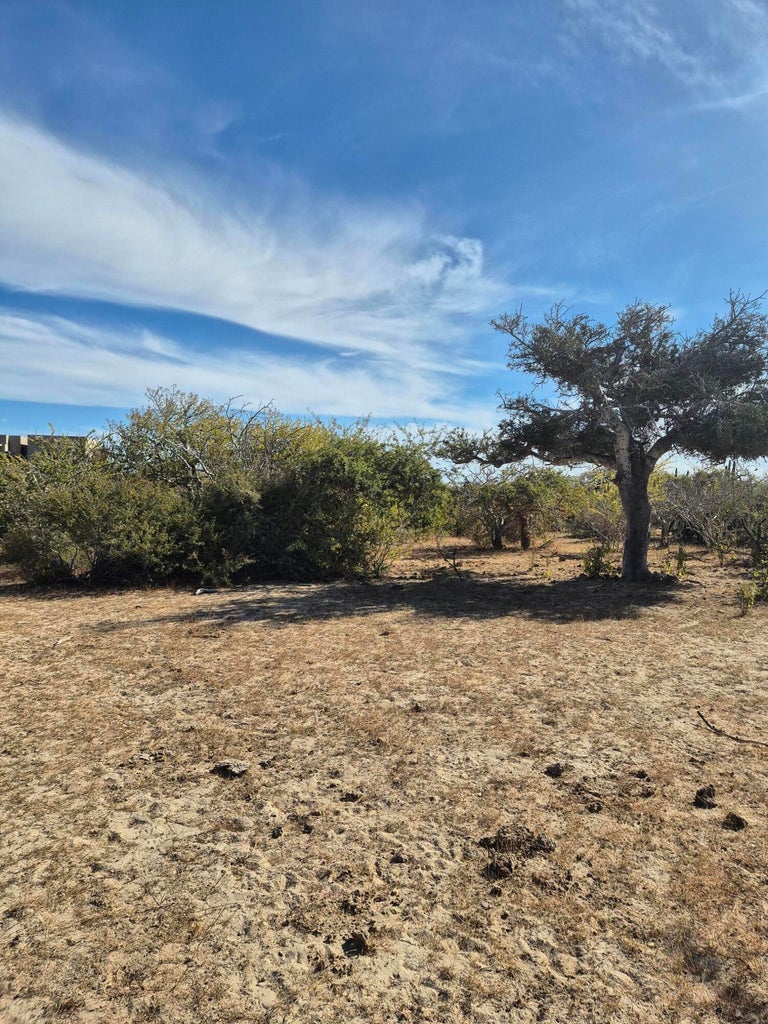 Lot in Bahia Terranova, East Cape, photo 5