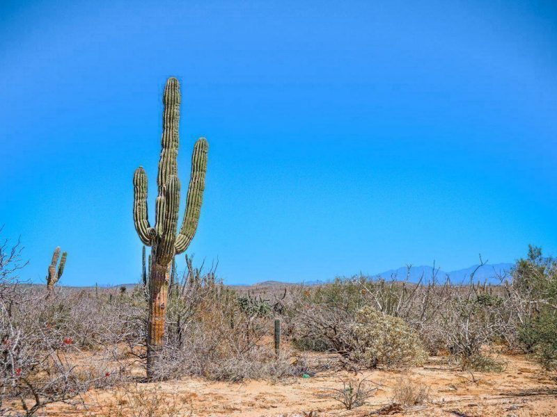 Ejido Meliton Albañez, Agua Blanca, La Paz