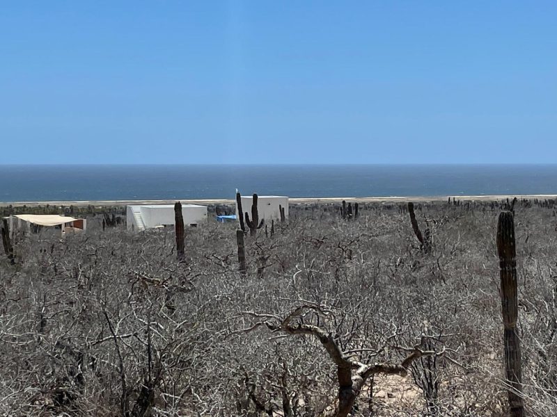 Lot in Las Playitas, Pacific
