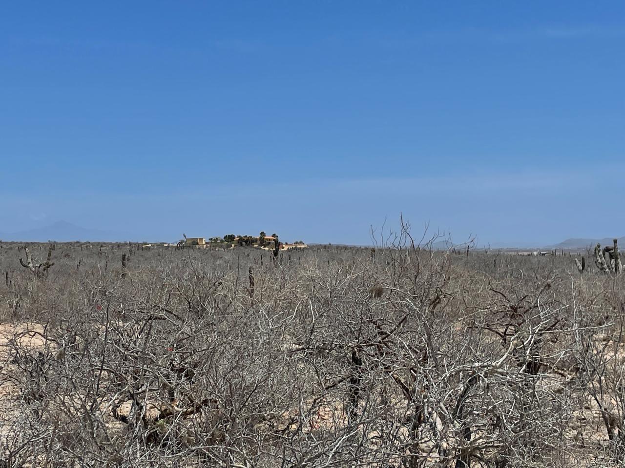 Lot in Las Playitas, Pacific, photo 5