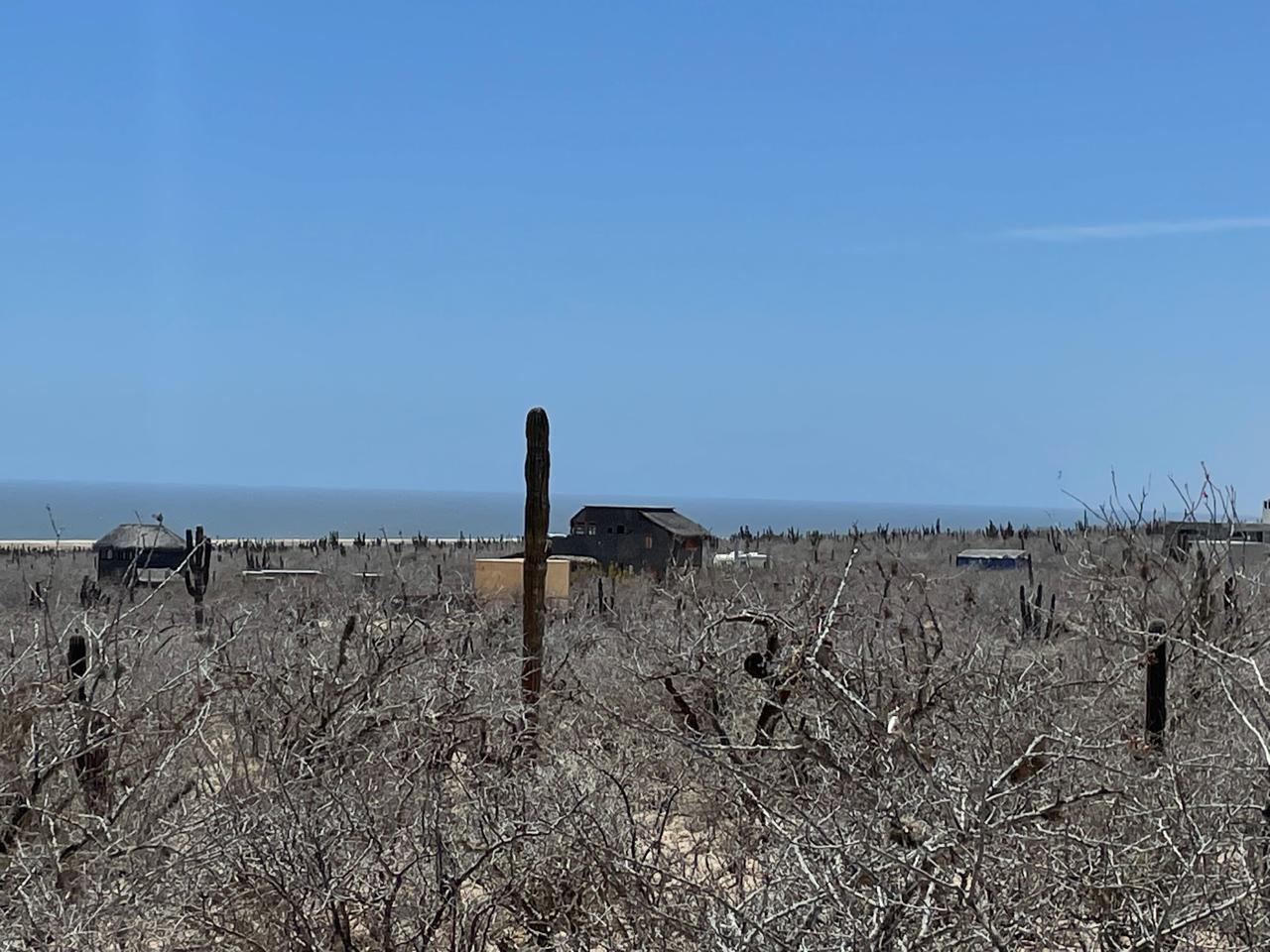 Lot in Las Playitas, Pacific, photo 3