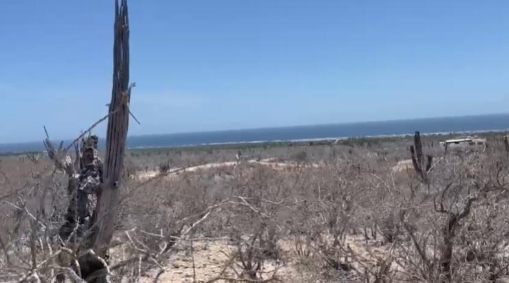 Lot in Las Playitas, Pacific, photo 4