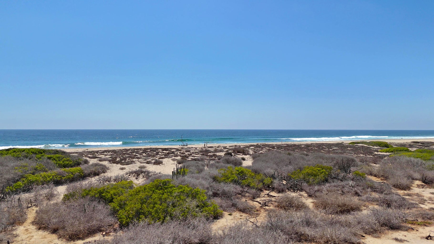 Cerritos, Pacific, photo 4