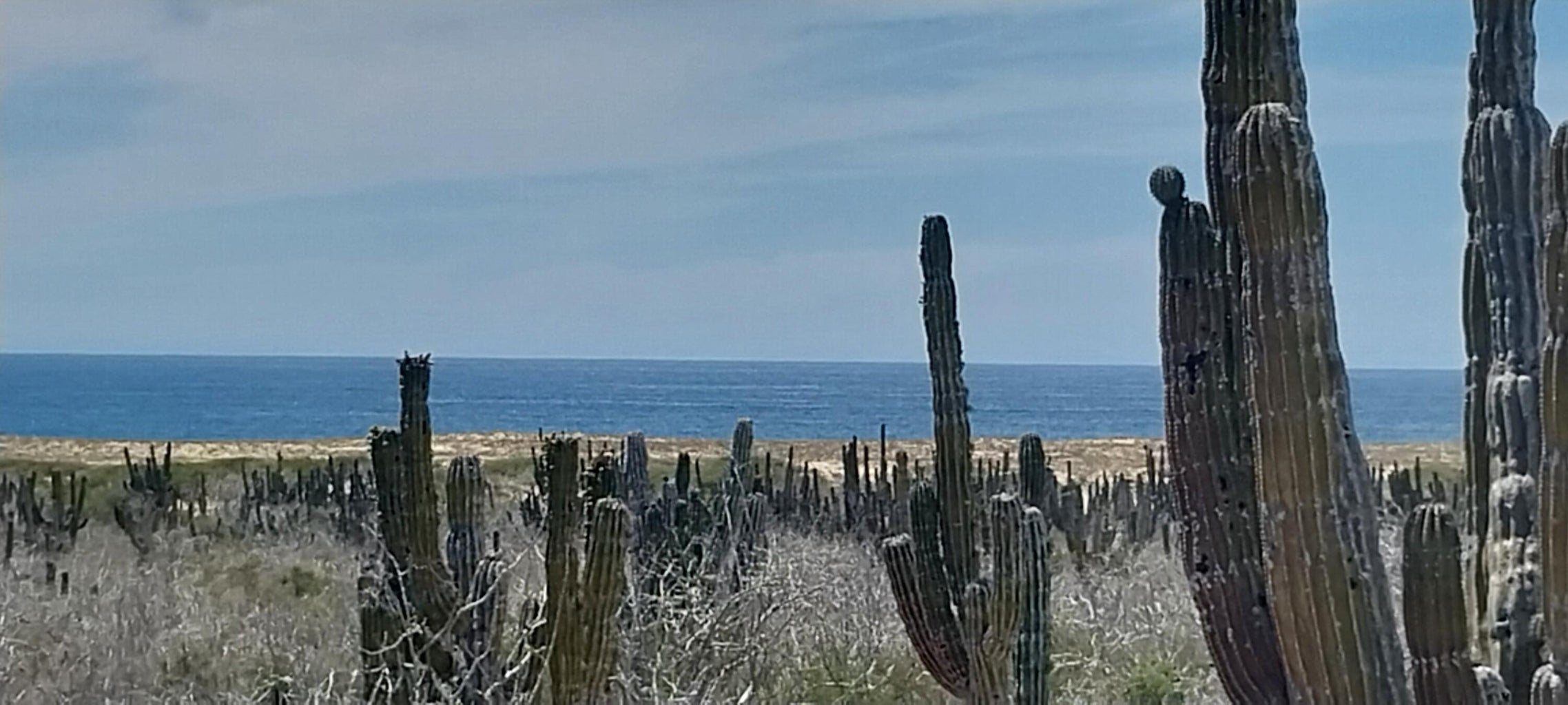 s/n Camino Las Playitas n/a, Pacific, photo 2