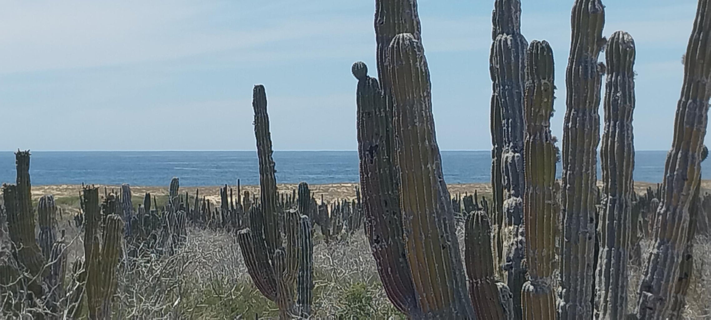 s/n Camino Las Playitas n/a, Pacific, photo 4