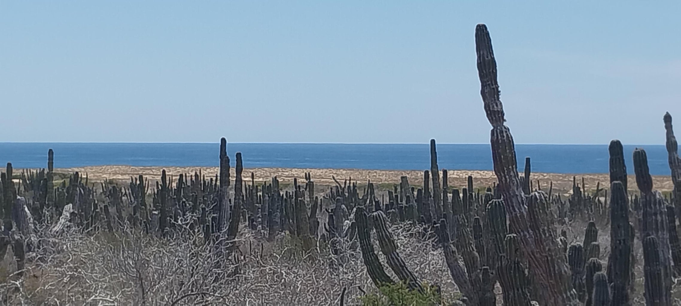 s/n Camino Las Playitas n/a, Pacific, photo 3