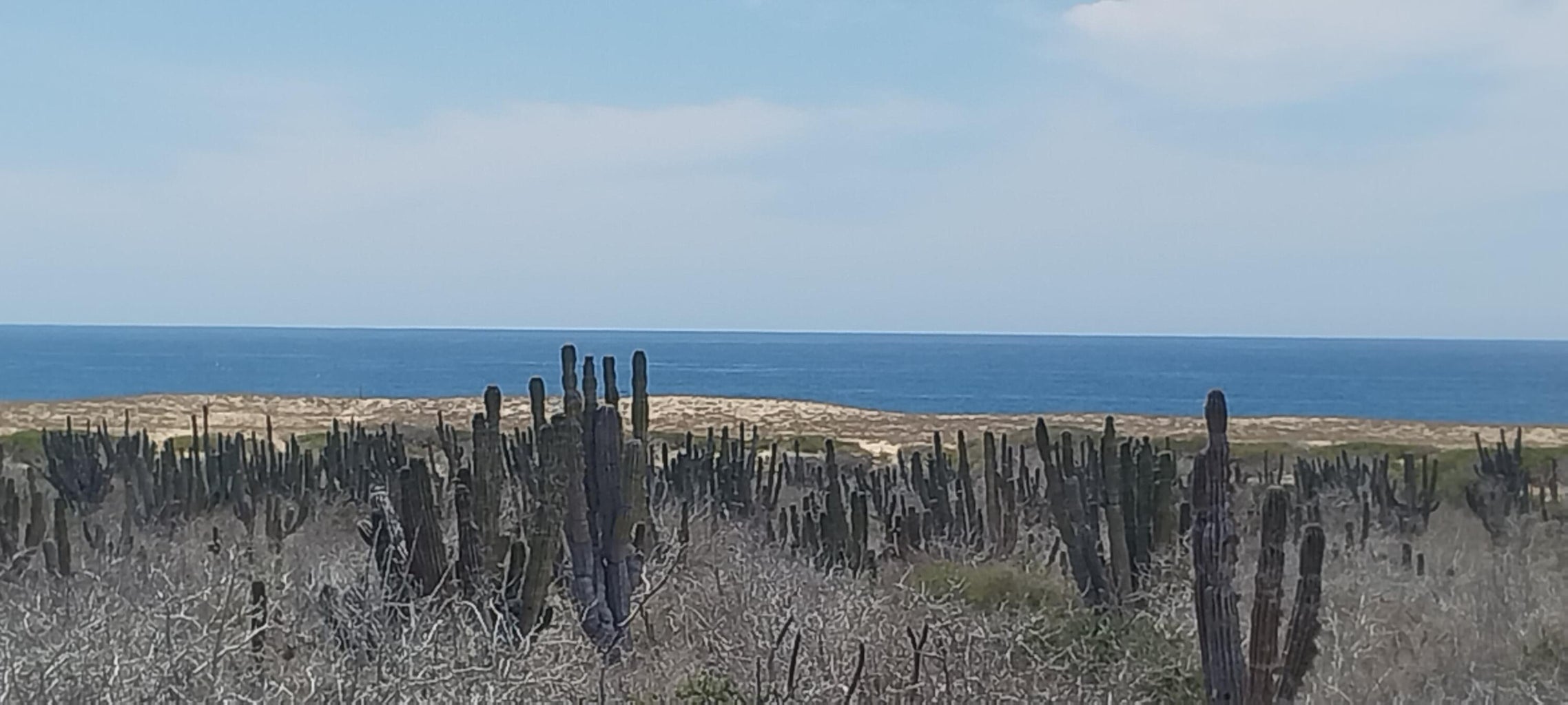 s/n Camino Las Playitas n/a, Pacific, photo 5