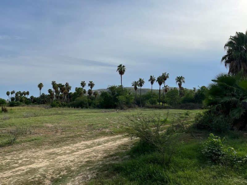 Lot in La Choya, San Jose del Cabo