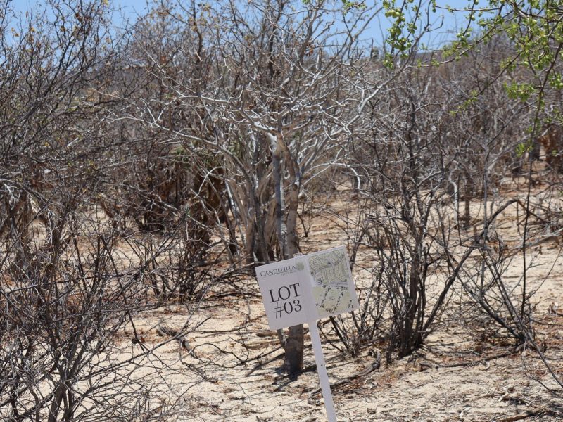 Lot in Candelilla, East Cape