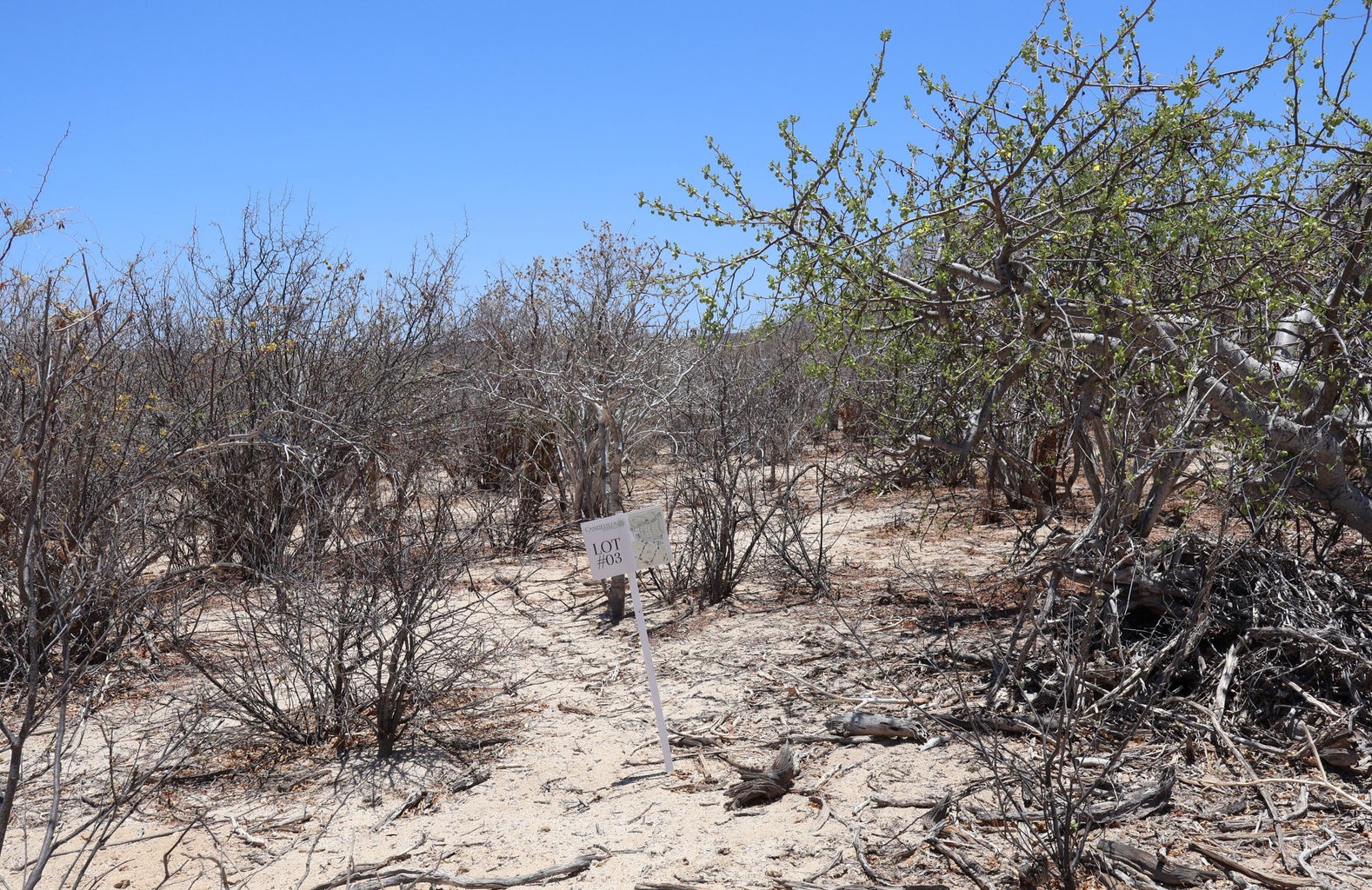 Lot in Candelilla, East Cape, photo 2
