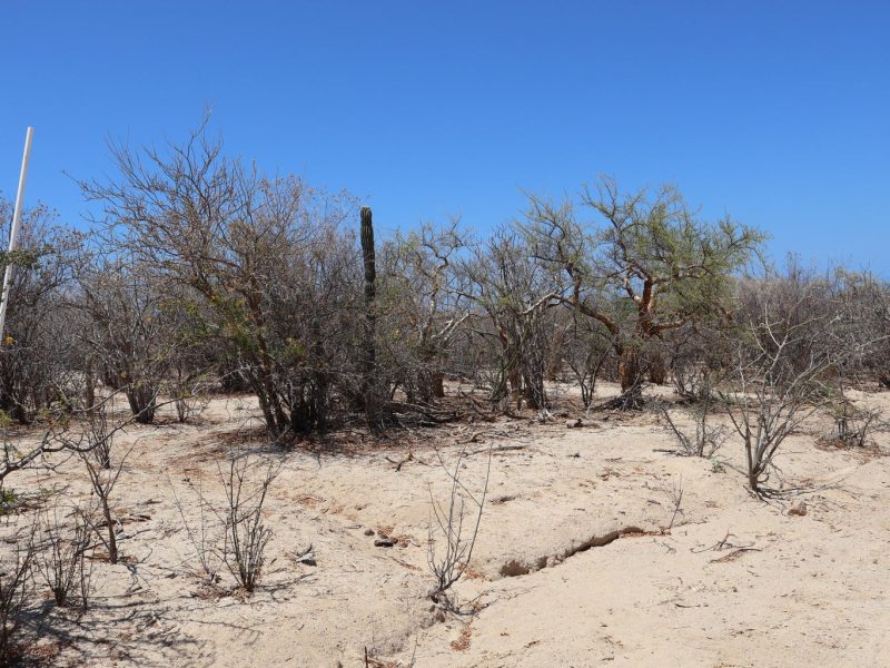 Lot in Candelilla, East Cape
