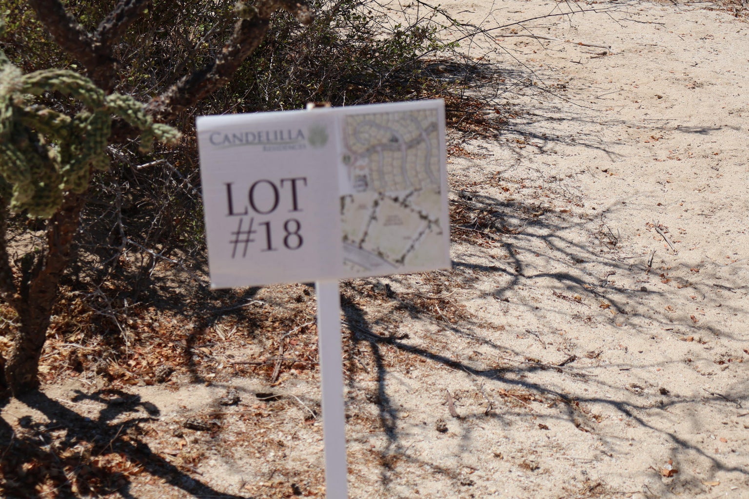 Lot in Candelilla, East Cape, photo 2