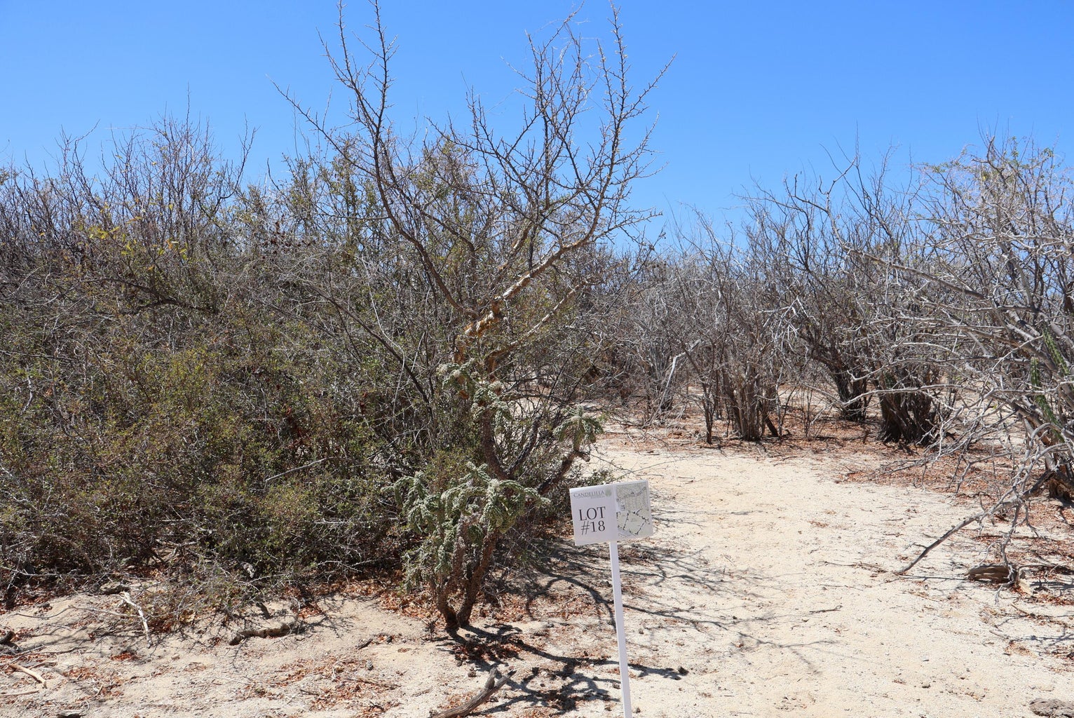 Lot in Candelilla, East Cape, photo 5