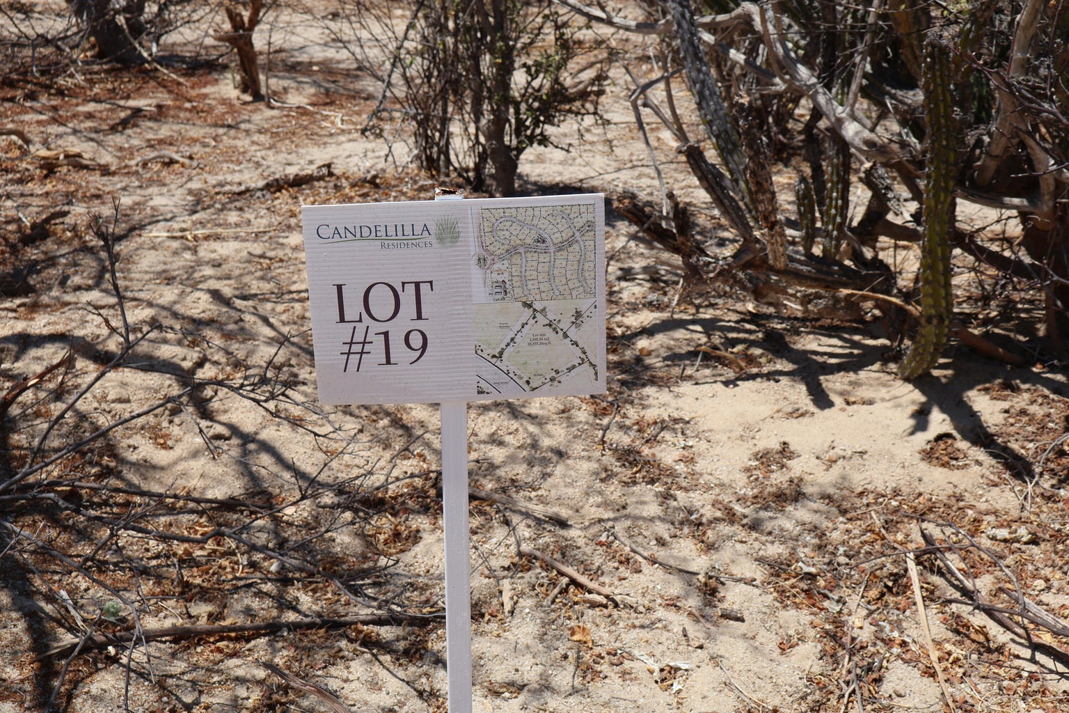 Lot in Candelilla, East Cape, photo 2