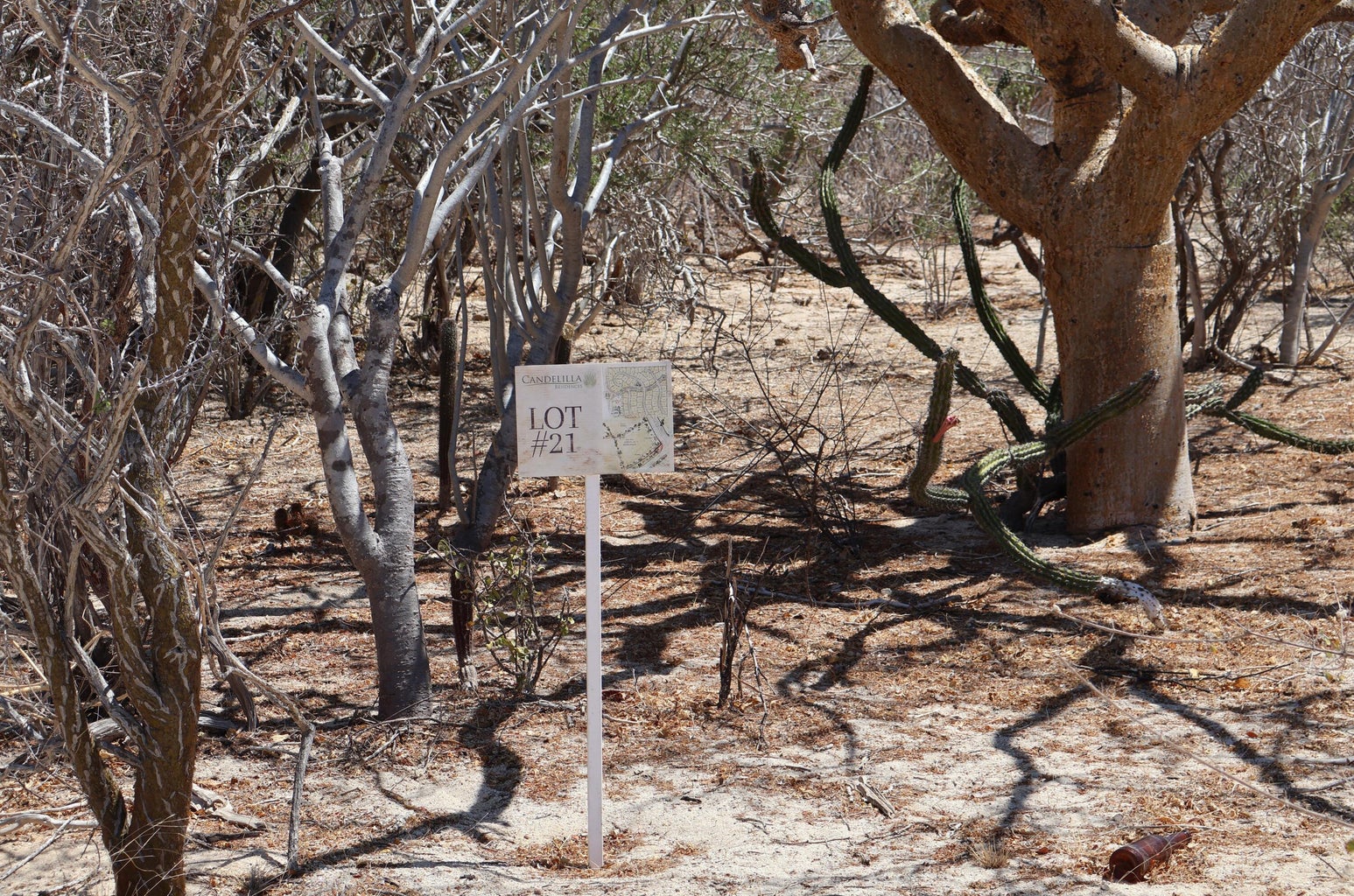 Lot in Candelilla, East Cape, photo 2