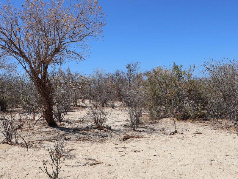 Lot in Candelilla, East Cape