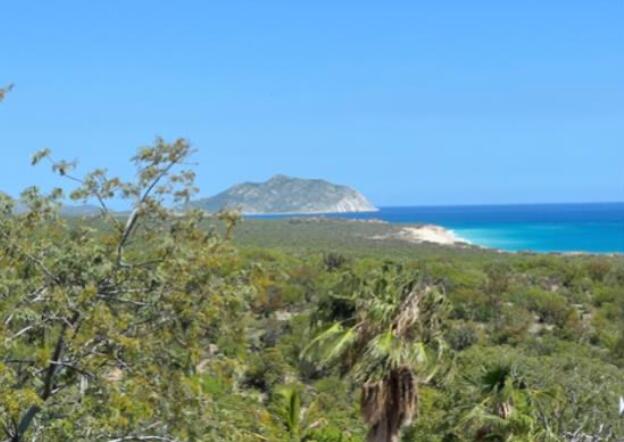 Ocean View, Castillo de Arena, East Cape, photo 3
