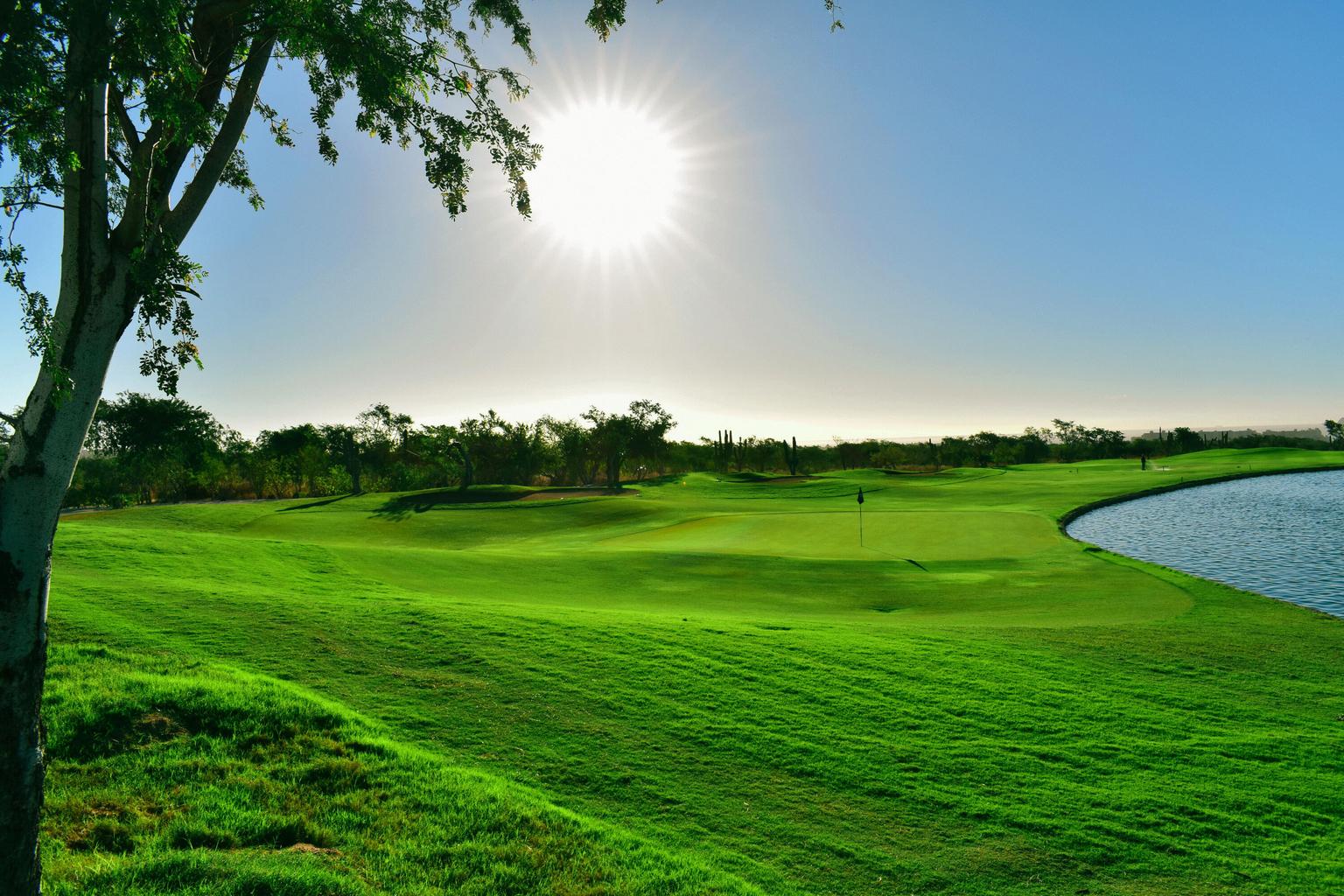 542 C. Palo Blanco, CSL C/Club Golf, Cabo Corridor, photo 5