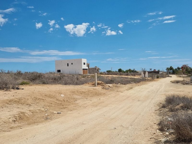Molusco, Las Tunas, Pacific