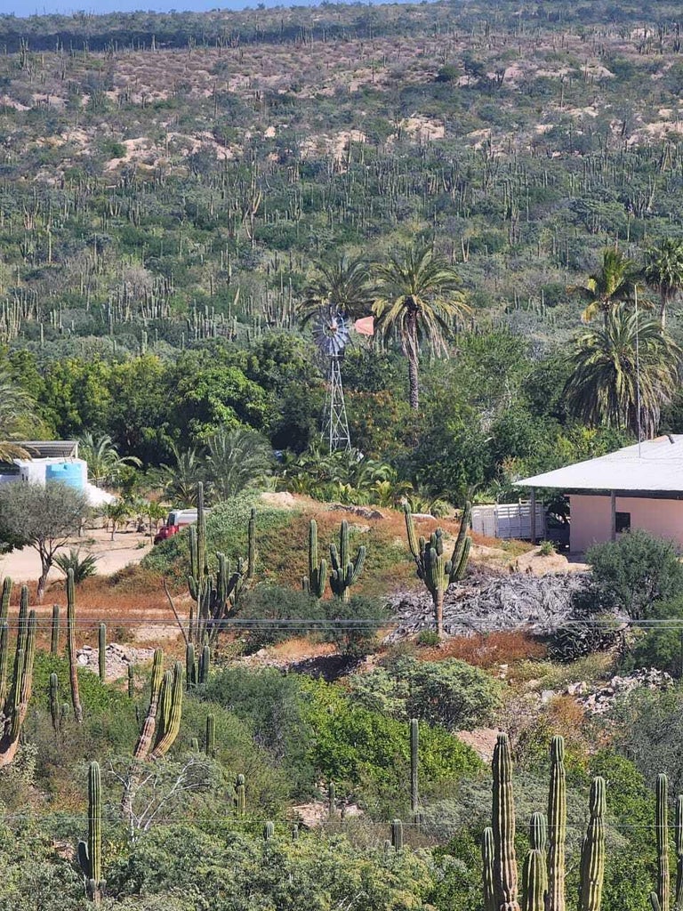 Lot in Playas Pacificas, La Paz, photo 3