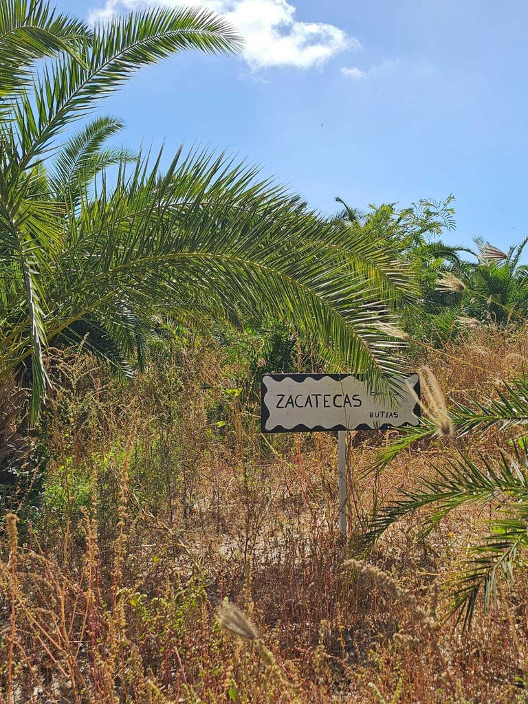 Lot in Playas Pacificas, La Paz, photo 5
