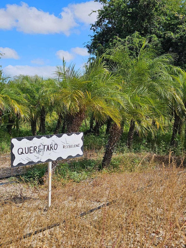 Lot in Playas Pacificas, La Paz, photo 4