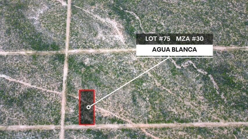 #75 Mza #30, Todos Santos, La Paz, Agua Blanca, Pacific, photo 2