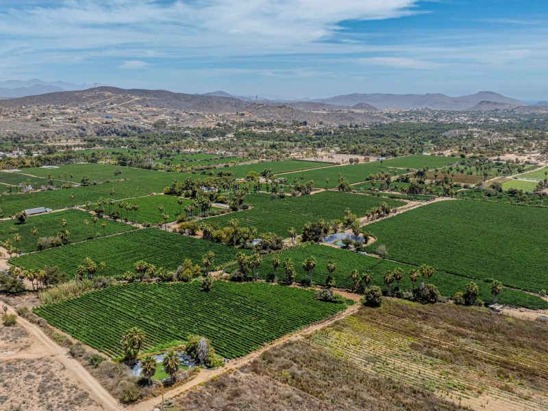 Lush Farmland, Centro-Todos Santos, Pacific